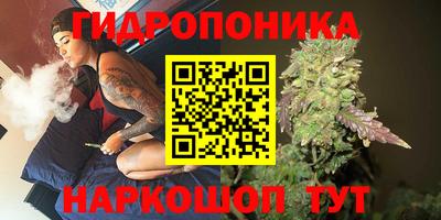 молекула духа Жуковский