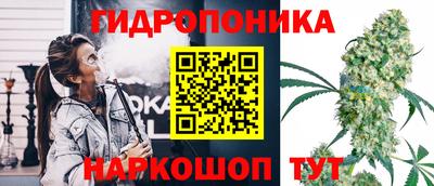 молекула духа Жуковский