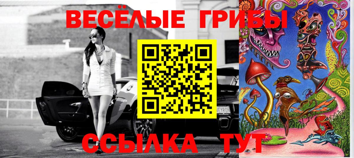Псилоцибиновые грибы Psilocybine cubensis  Вход с VPN  Заринск  купить наркоту  Галлюциногенные грибы Magic Shrooms 