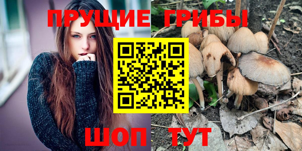 Галлюциногенные грибы Cubensis Заринск